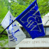 Law School flags in front of Sydney Lewis Hall