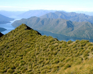 New Zealand’s Great Outdoors